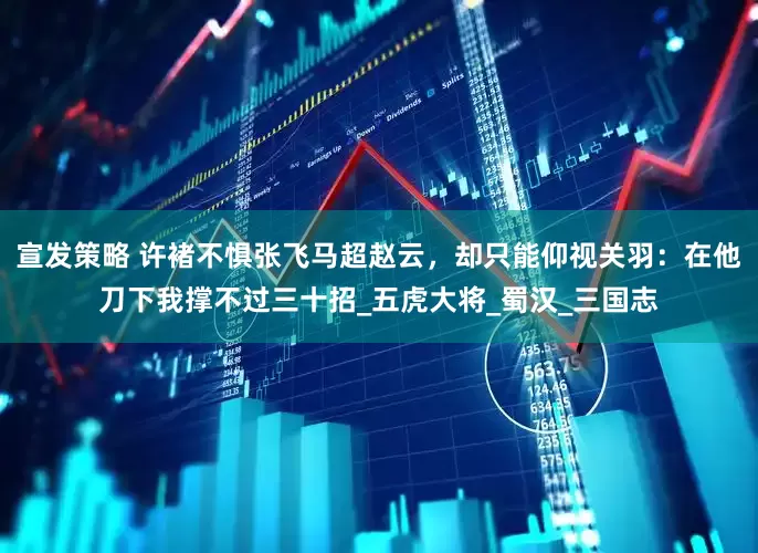 宣发策略 许褚不惧张飞马超赵云，却只能仰视关羽：在他刀下我撑不过三十招_五虎大将_蜀汉_三国志