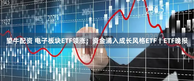 望牛配资 电子板块ETF领涨；资金涌入成长风格ETF丨ETF晚报